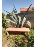 Banc en bois naturel
