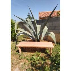 Banc en bois naturel