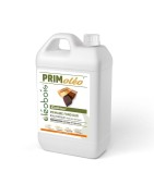 Primaire naturel bois extérieur