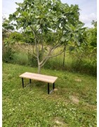 Banc en bois extérieur